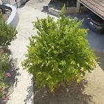 Apartman Lacodelama Mini Liznjan