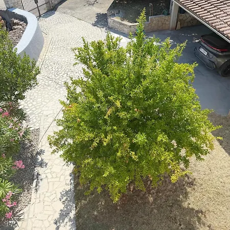 Apartment Lacodelama Mini Ližnjan