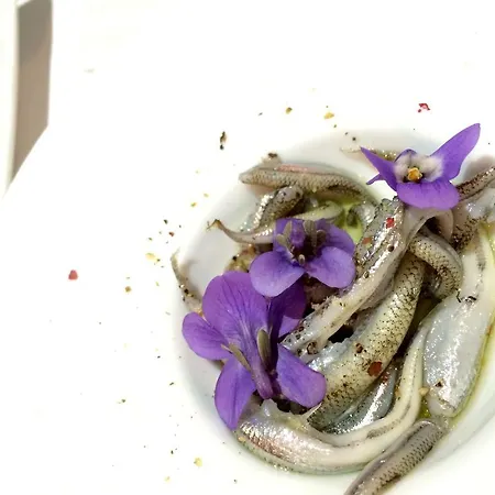 Apartman Lacodelama Mini *